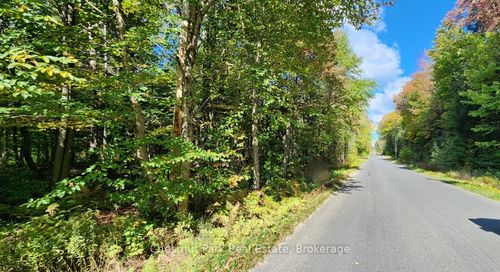 0 Skyline Dr, Armour, ON, P0A1C0 | Card Image