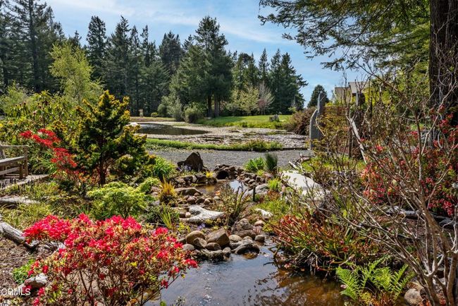 Garden | Image 67