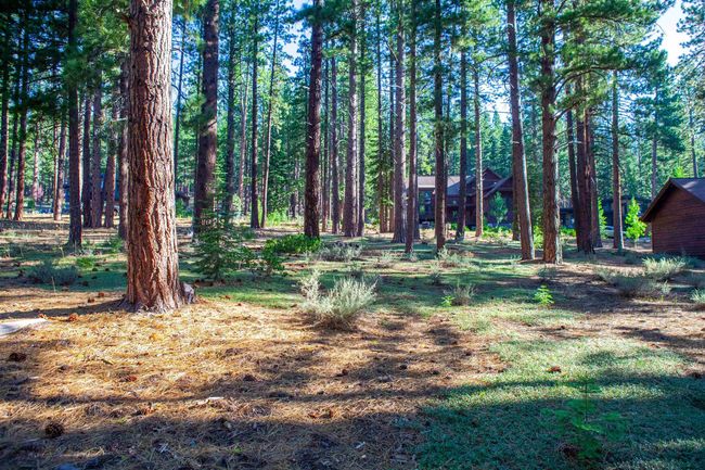 11561 Bottcher Loop, Home with 0 bedrooms, 0 bathrooms and null parking in Truckee CA | Image 16
