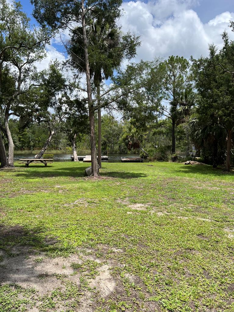 Land in Steinhatchee 3