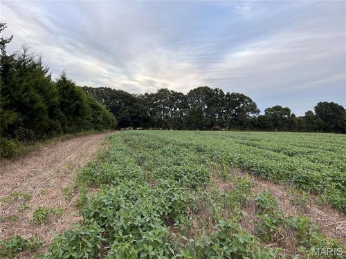 TBD Big Sky Trl, Beaufort, MO, 63013 | Card Image