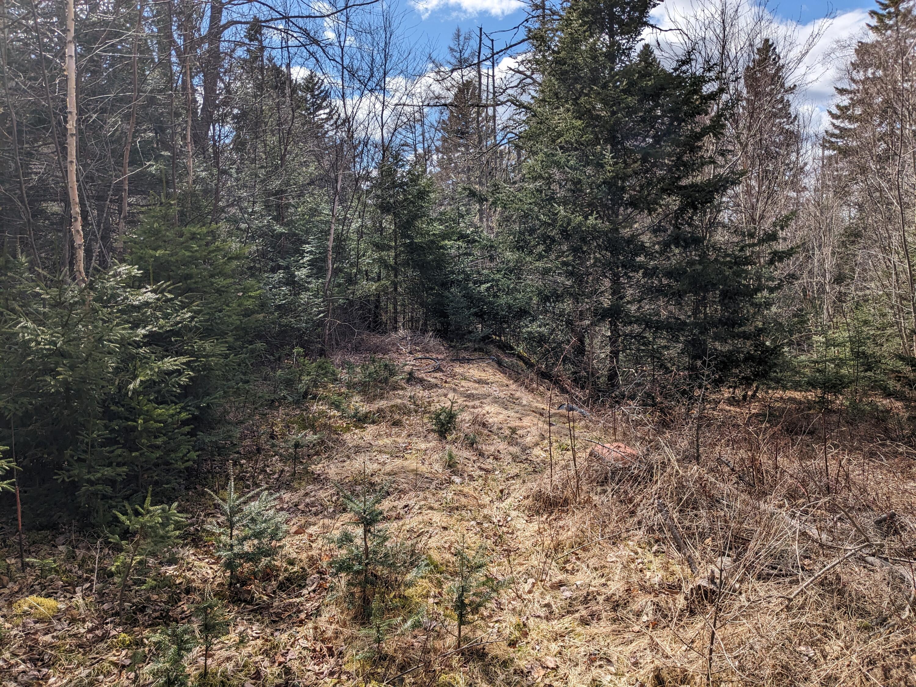Land in Machiasport 5
