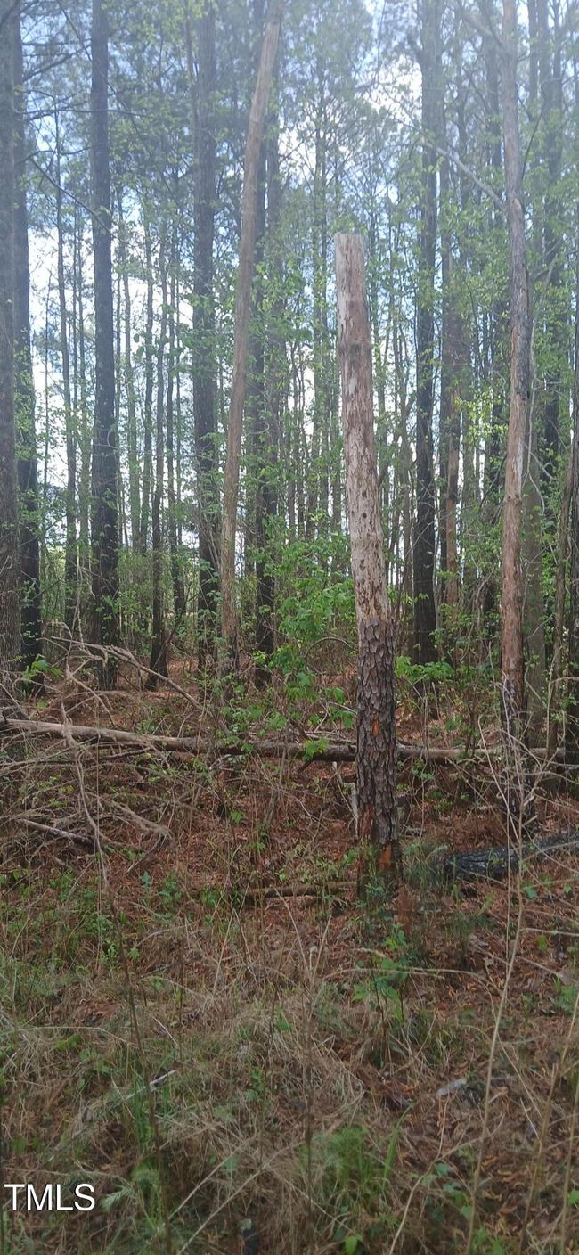 Vancant Lot | Image 10