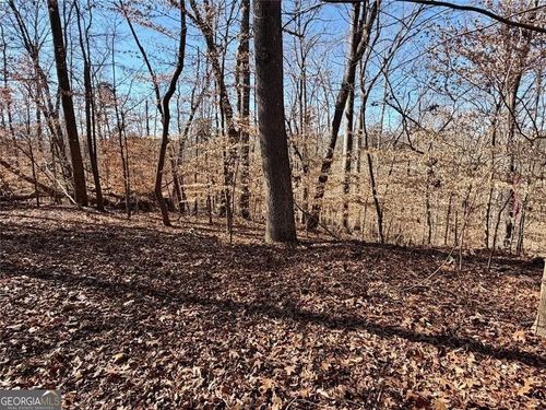 227-0 Arrowhead Dr, Lavonia, GA, 30553 | Card Image