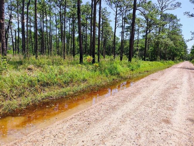 View of road | Image 4