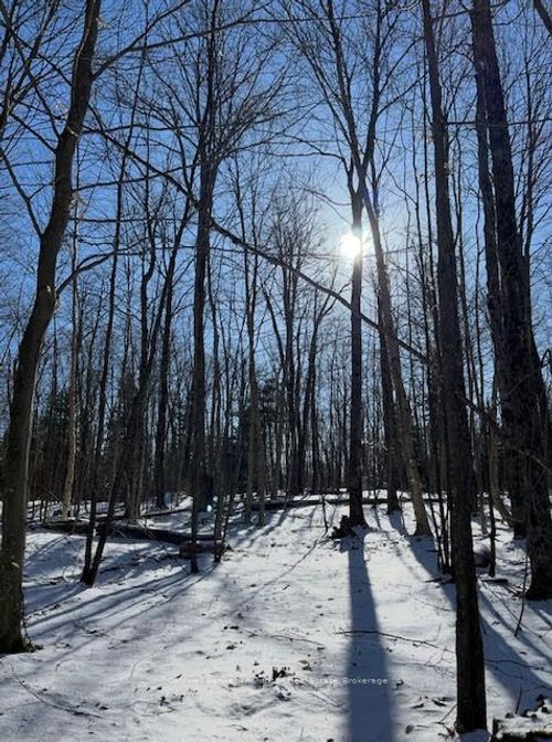 440 Riding Ranch Rd, South River, ON, P0A1X0 | Card Image