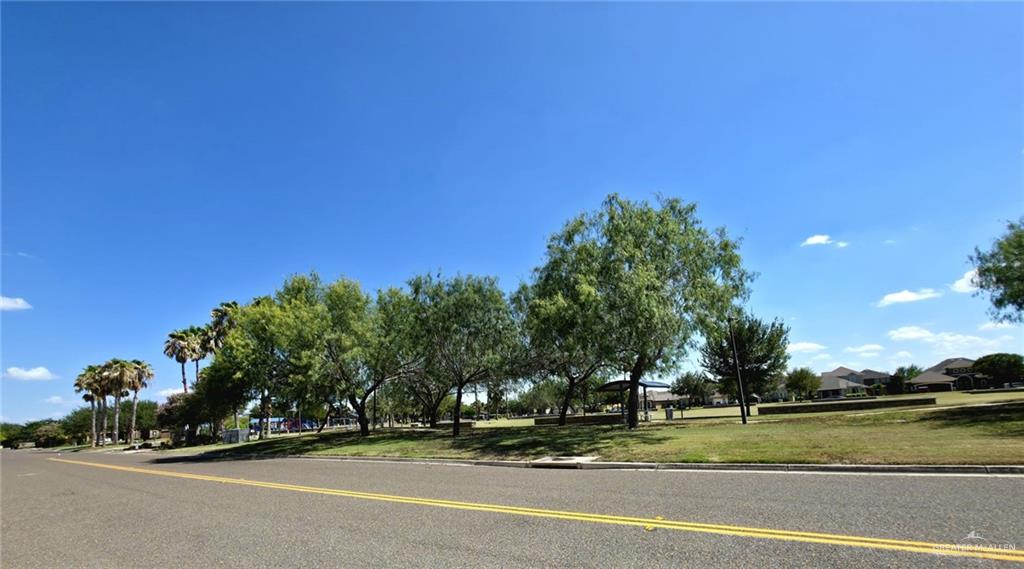 Land in McAllen 4