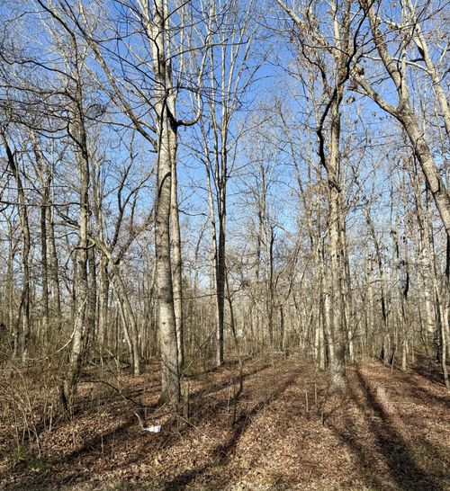 0 Antietam Rd, Beechgrove, TN, 37018 | Card Image