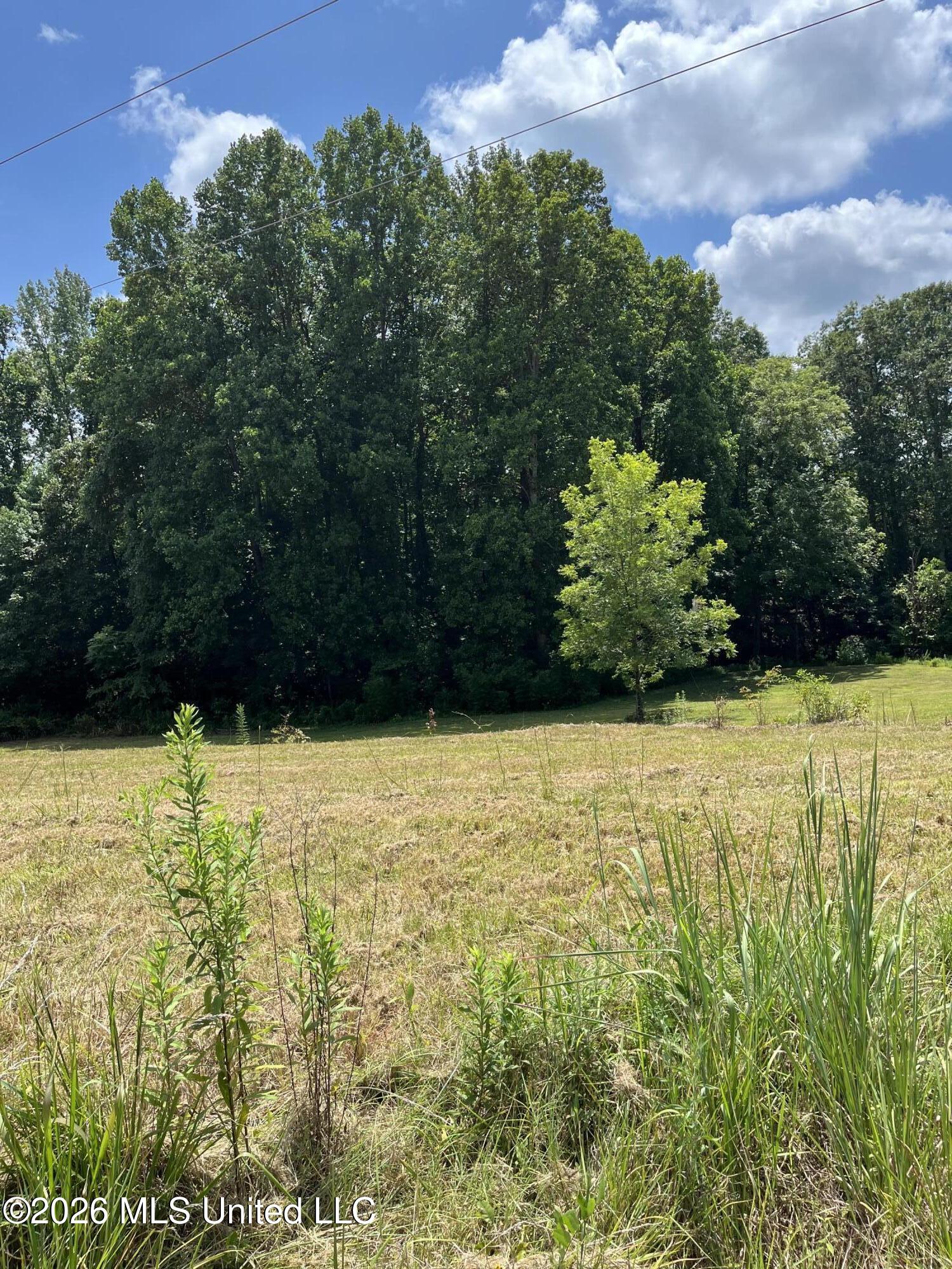 Land in Byhalia