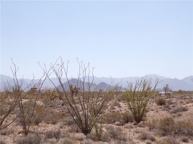 View | Image 9