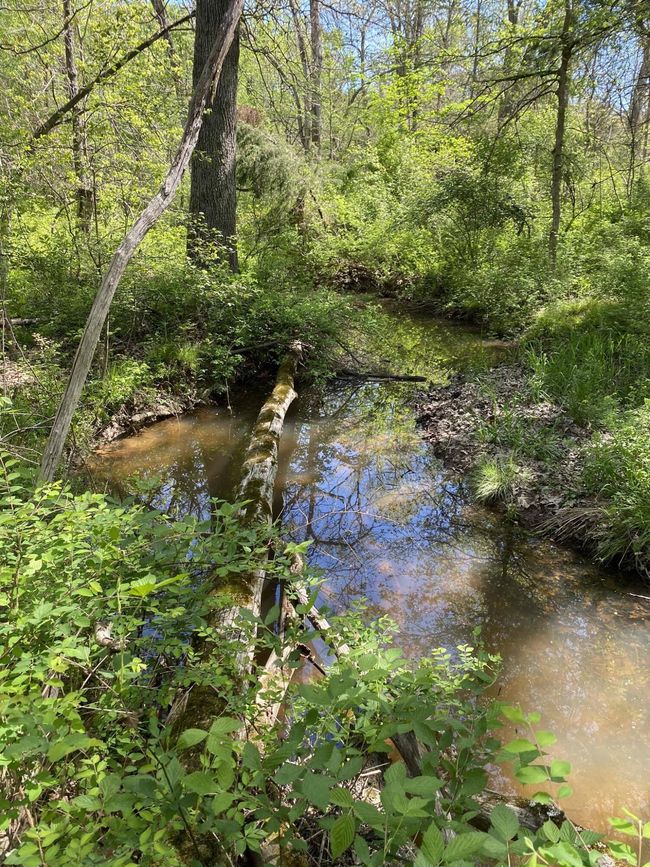 Seasonal Water | Image 4