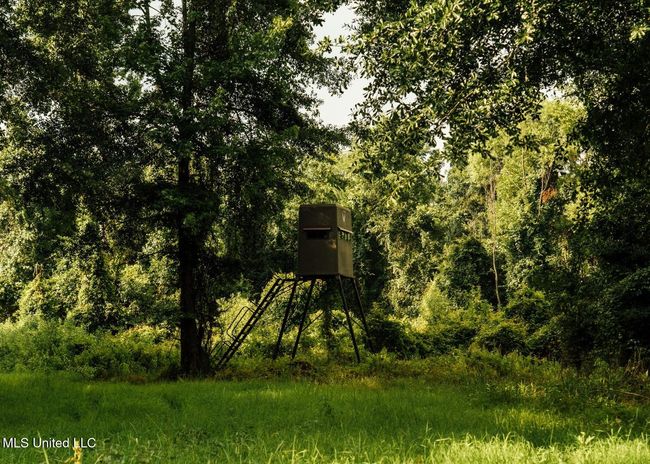 Castens Creek Pics-70 | Image 31