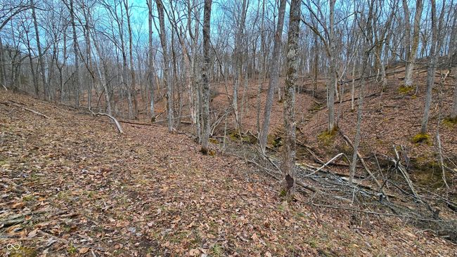 5900 S County Road 700 E, Home with 0 bedrooms, 0 bathrooms and null parking in Dillsboro IN | Image 39