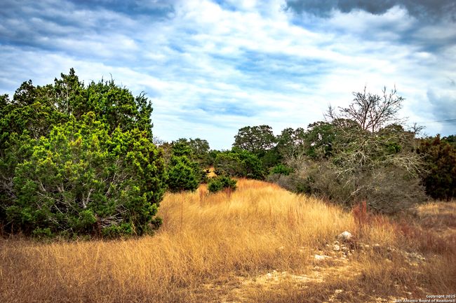 205 Bindweed Ln, Home with 0 bedrooms, 0 bathrooms and null parking in Spring Branch TX | Image 11