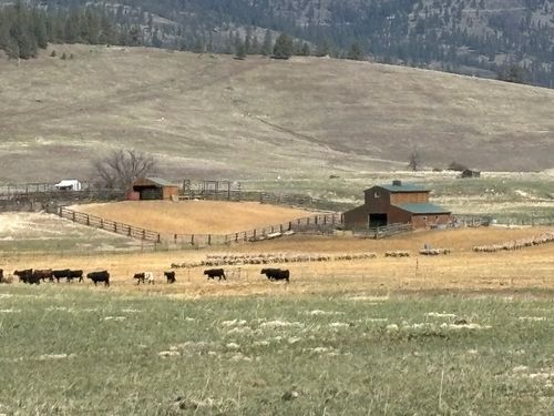 3 Finley Gulch Rd, Lonepine, MT, 59848-8701 | Card Image