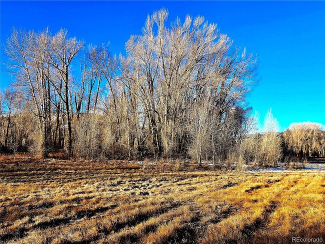 118 Caddis Cir, Home with 0 bedrooms, 0 bathrooms and null parking in South Fork CO | Image 4