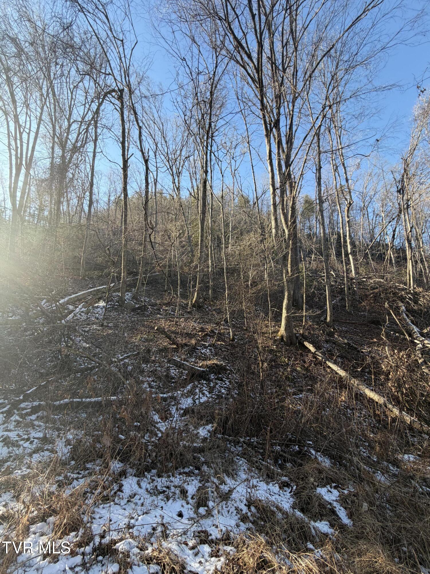 Land in Butler 2