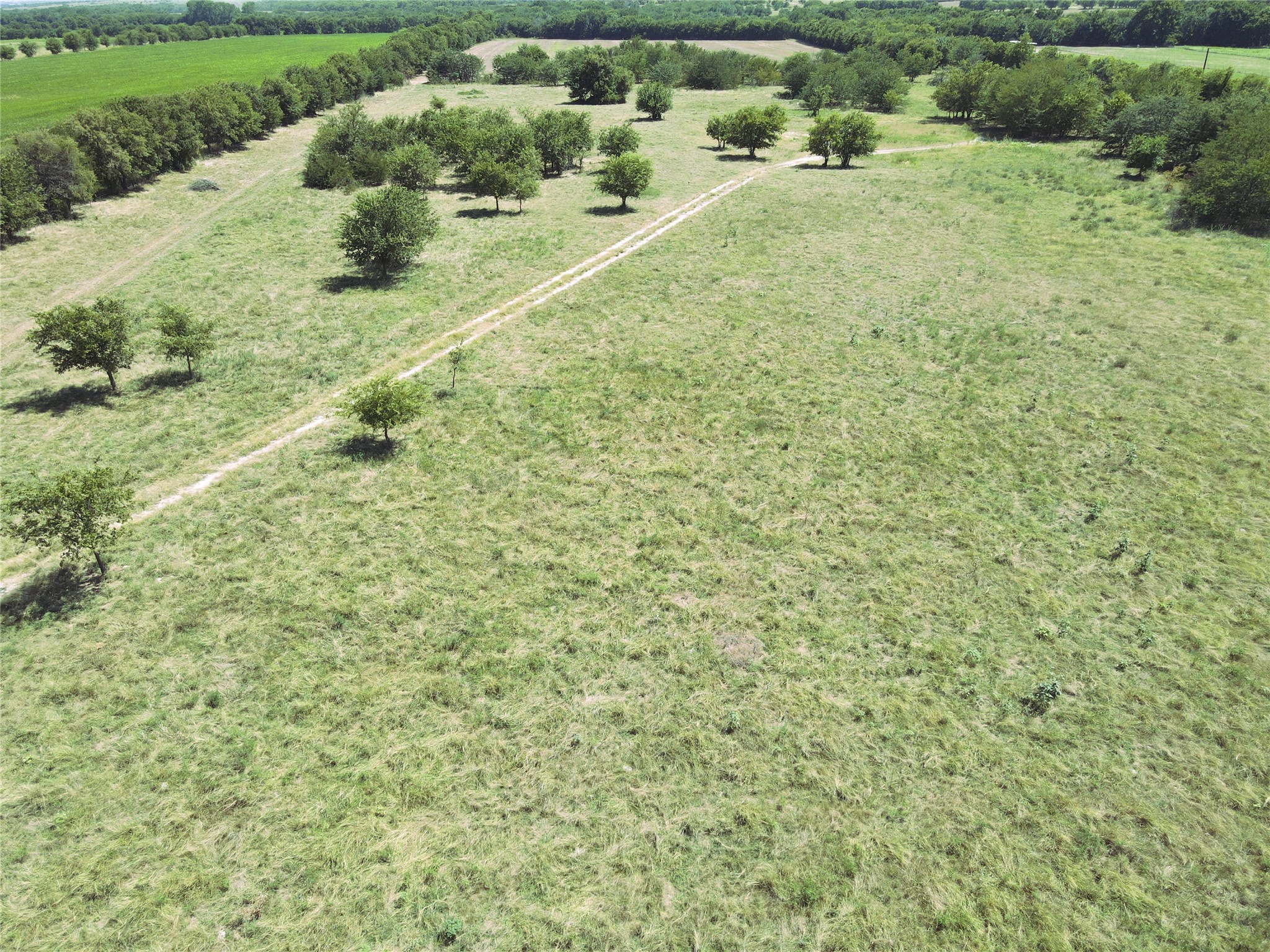 Land in Rhome 5