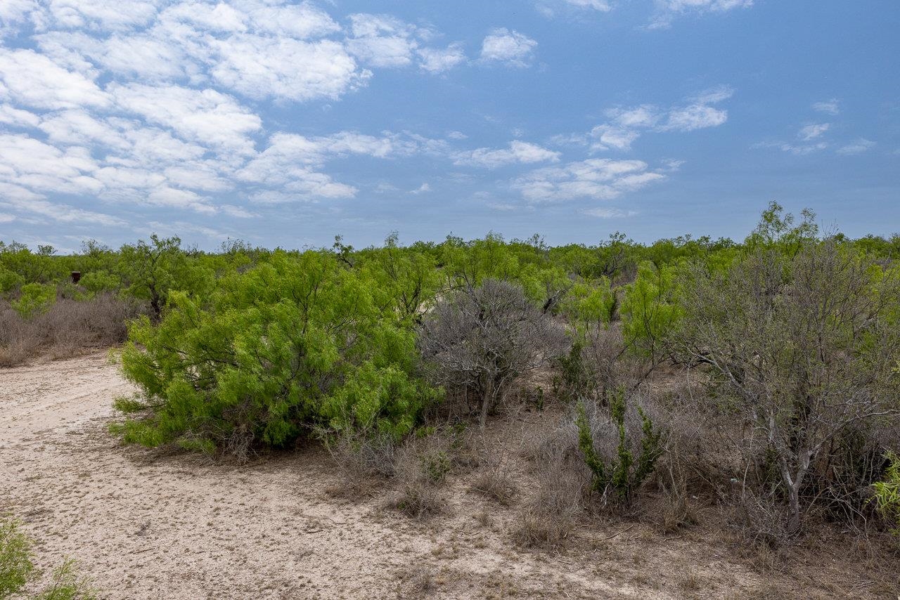 Land in Del Rio 4
