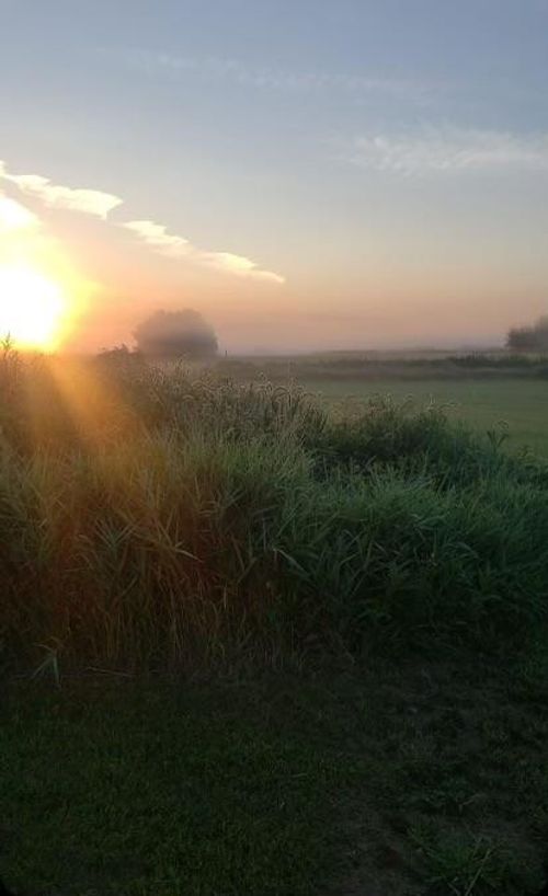 1234 King Road, Ogilvie, MN, 56358 | Card Image