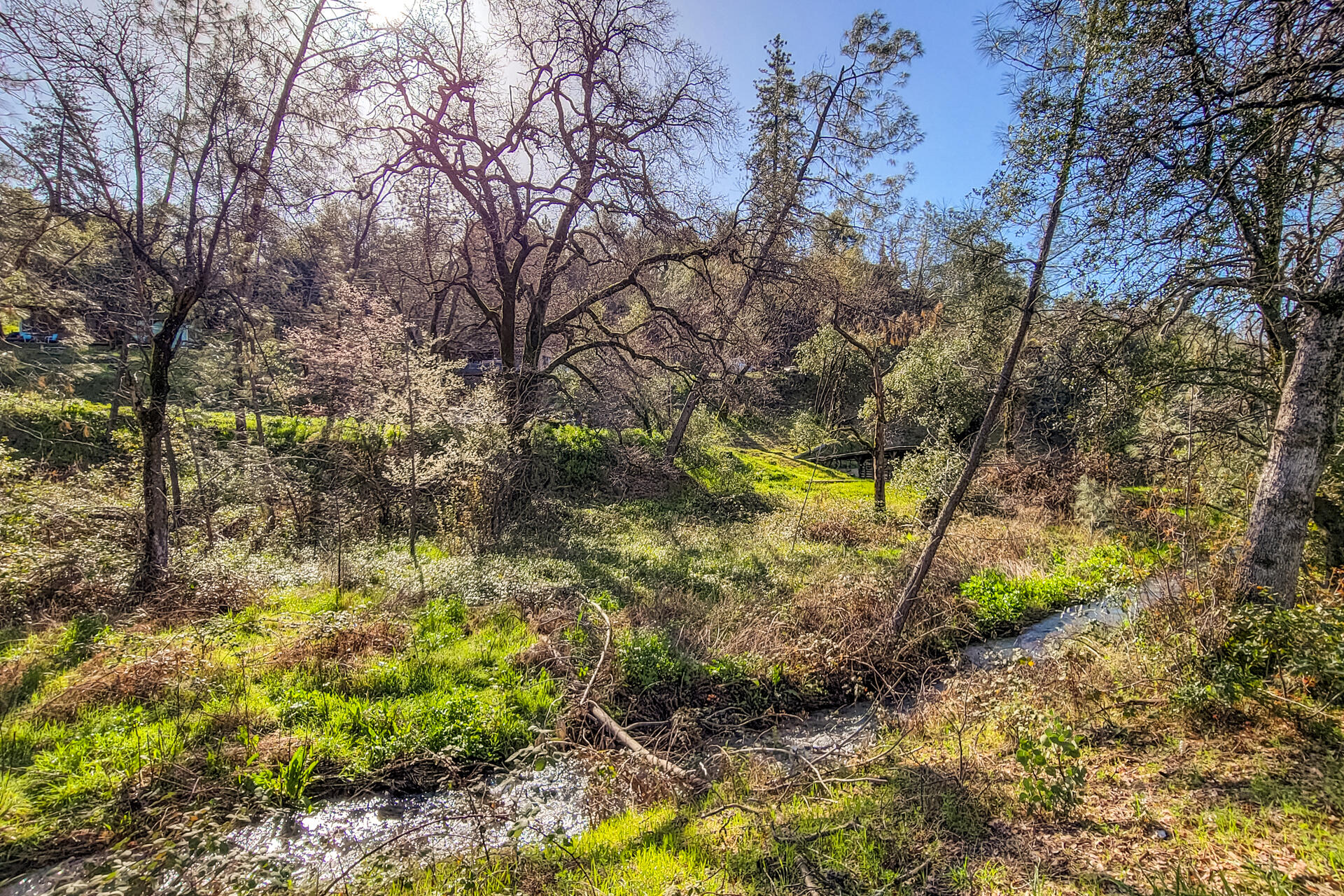 Land in Redding 4