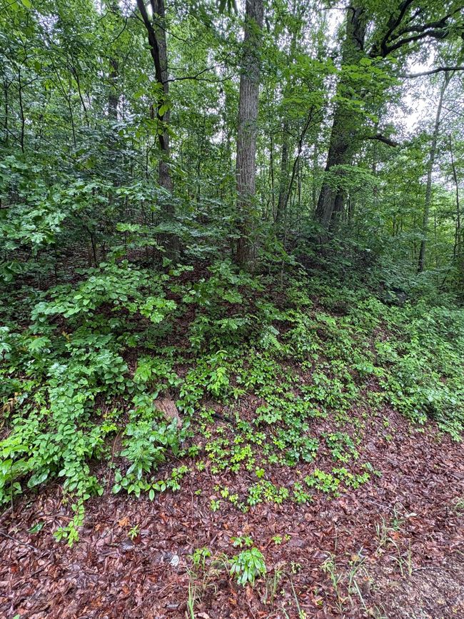 0 Highway 27, Home with 0 bedrooms, 0 bathrooms and null parking in Whitwell TN | Image 5