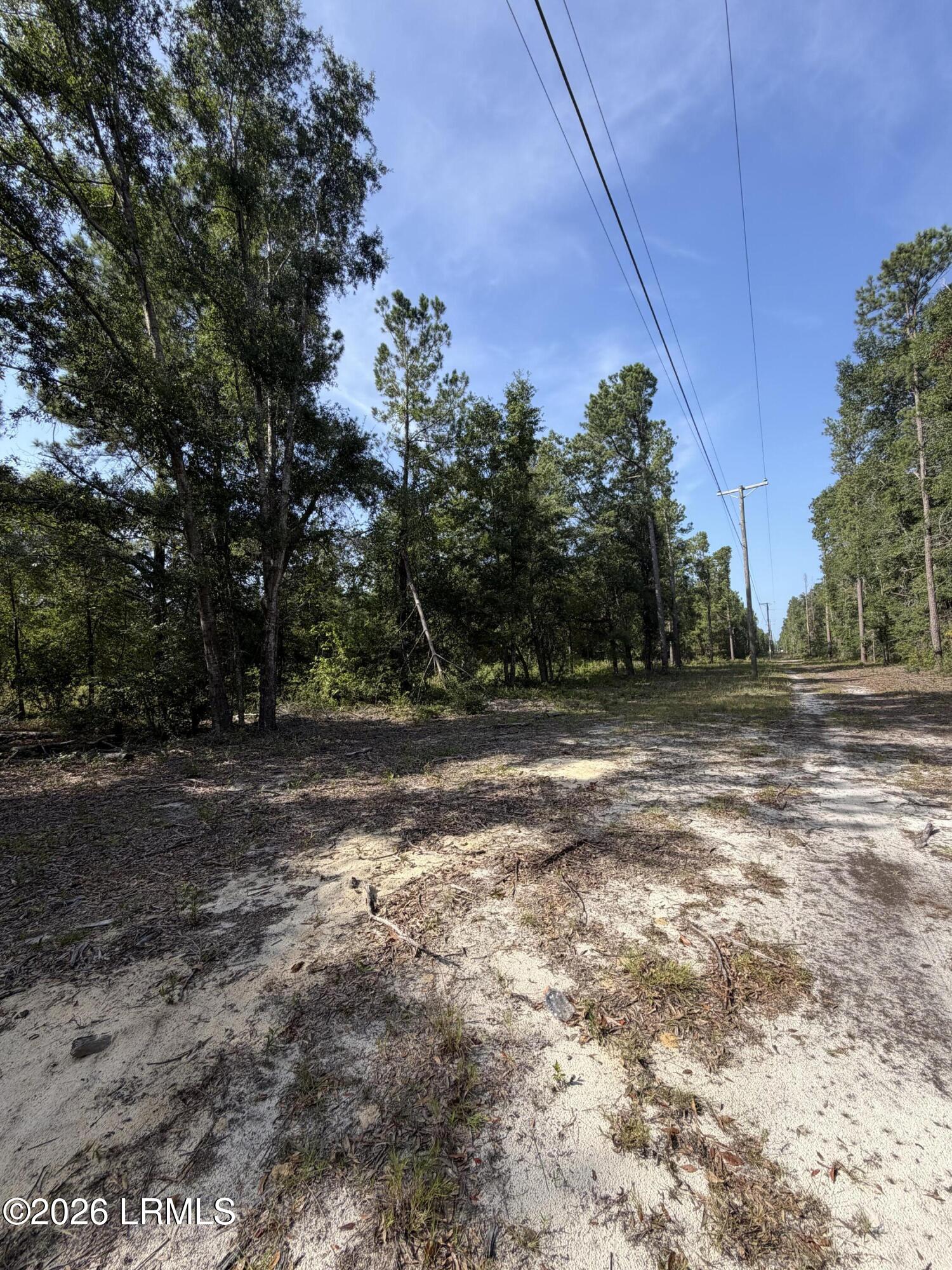 Land in Ridgeland 4