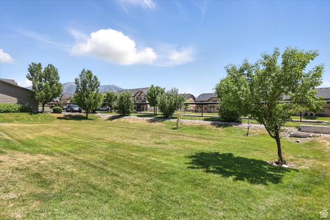 View of grassy yard with a residential view and a mountain view | Image 28