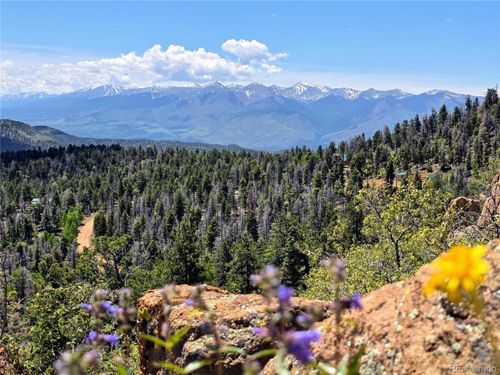 53 Trail Dr, Cotopaxi, CO, 81223-8970 | Card Image