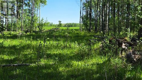 0 Range Road 20, Winfield, AB, T0C2X0 | Card Image