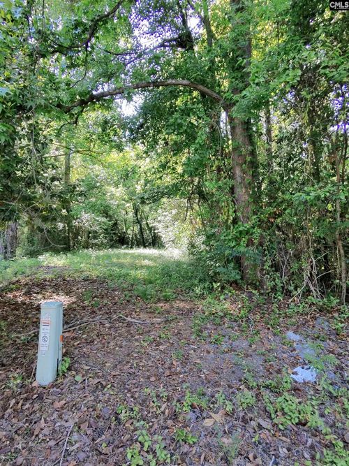 TBD Lang Rd, Columbia, SC, 29204 | Card Image