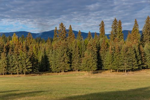 340 Tamarack Creek Rd, Whitefish, MT, 59937-8024 | Card Image