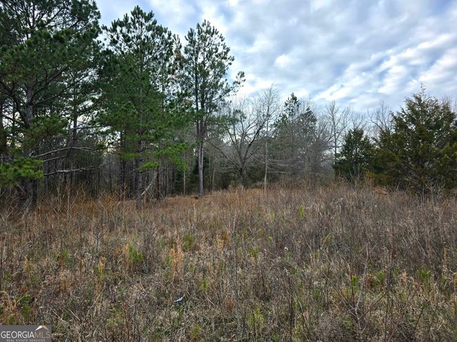 0 Willow St, Home with 0 bedrooms, 0 bathrooms and null parking in Stephens GA | Image 4