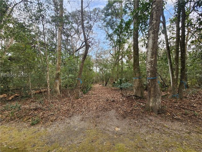 139 Bull Point Dr, Home with 0 bedrooms, 0 bathrooms and null parking in Seabrook SC | Image 7
