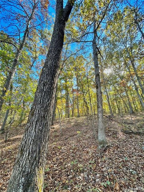 6 County Road 4215, Salem, MO, 65560 | Card Image