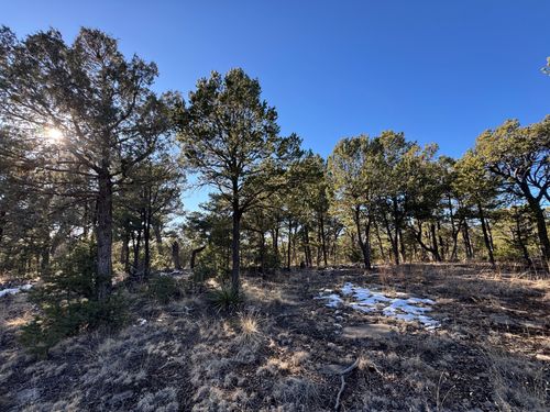 7 Dancing Hawk Dr, Pecos, NM, 87552 | Card Image