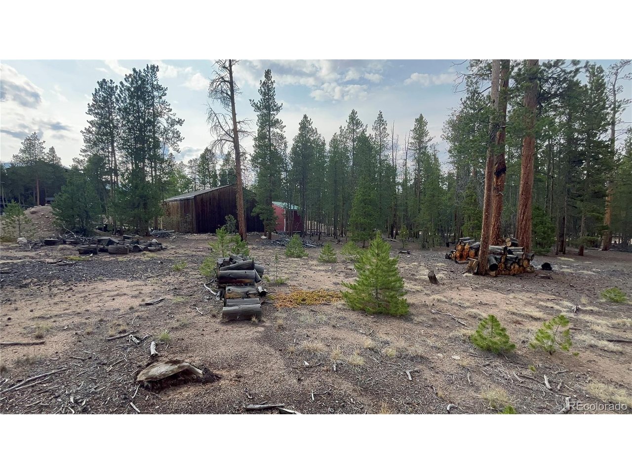 Land in Leadville 4