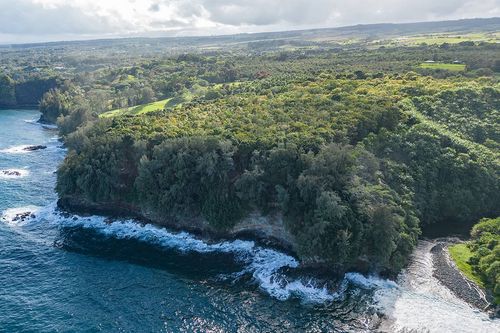 27-870 Old Mamalahoa Hwy, PEPEEKEO, HI, 96783 | Card Image