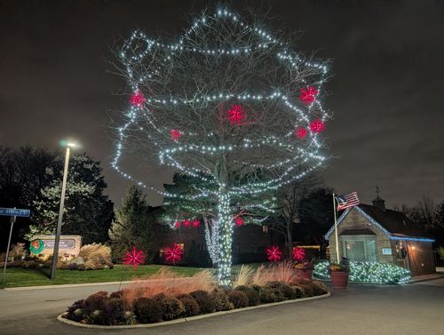 12 Queens Ct, Westchester, IL, 60154-5631 | Card Image