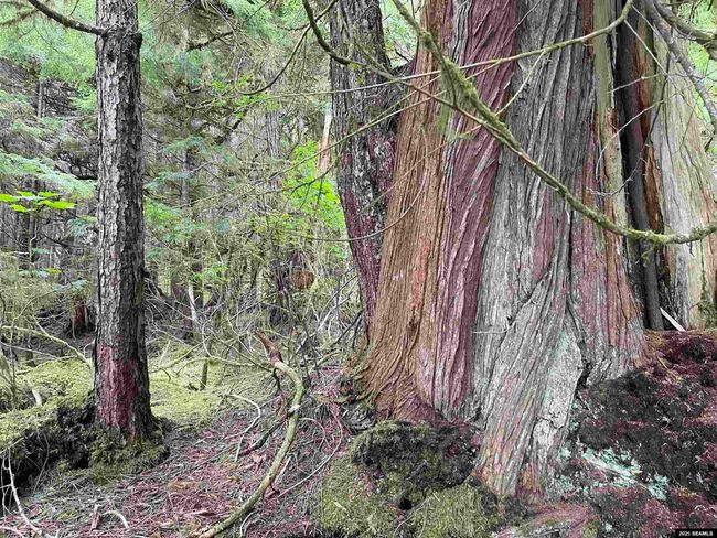 LOT-2-BLOCK-1 - NHN Legal Address Only, Home with 0 bedrooms, 0 bathrooms and null parking in Ketchikan AK | Image 9