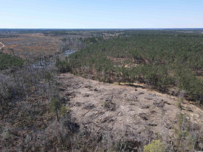 00 Highway 278 Highway, Home with 0 bedrooms, 0 bathrooms and null parking in Rosston AR | Image 25