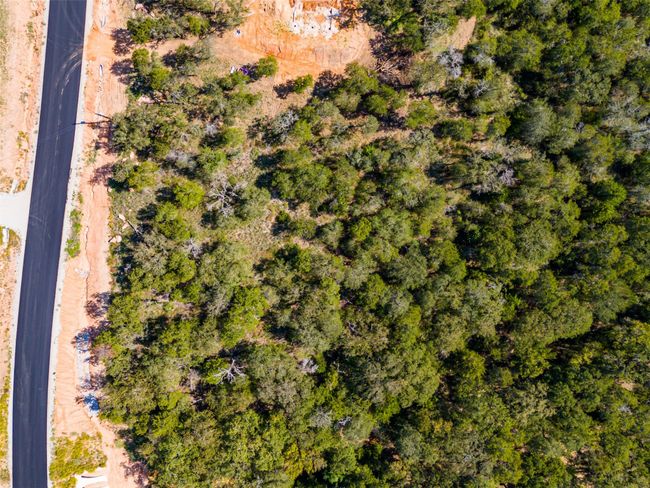 Bird's eye view | Image 28
