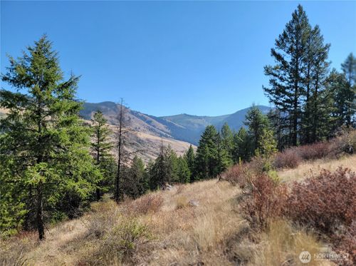 9999 Lone Ranch Creek Rd, Danville, WA, 99121 | Card Image
