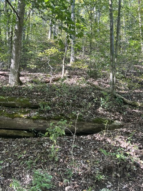 0 Neeley Creek Rd, Celina, TN, 38551 | Card Image