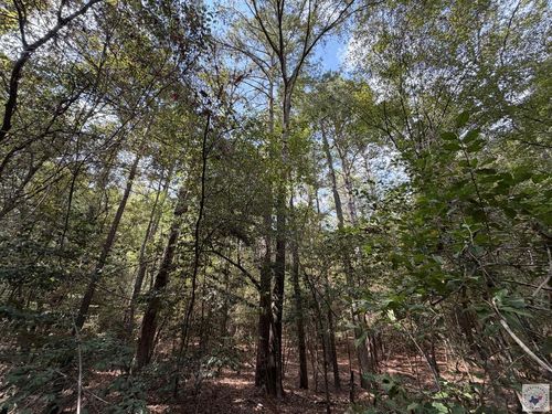 TBD Fm 130, Linden, TX, 75563 | Card Image