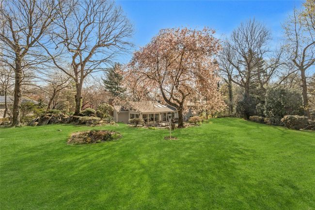 Expansive yard | Image 19