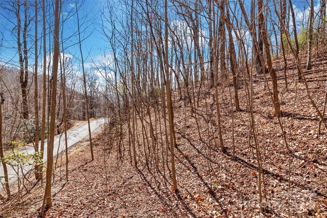 965 Wolf Pen Rd, Home with 0 bedrooms, 0 bathrooms and null parking in Old Fort NC | Image 10