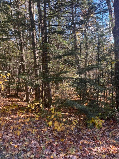 lot-74-1-74-1 Wharff Rd, Guilford, ME, 04443-6117 | Card Image