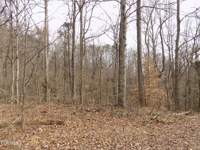 185 Lovin Rd, House other with 4 bedrooms, 2 bathrooms and null parking in Mooresburg TN | Image 46
