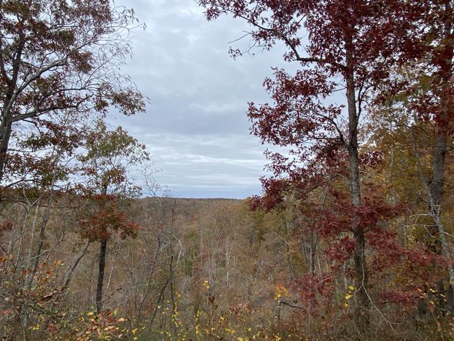 0 Mc Cord Hollow Rd, Home with 0 bedrooms, 0 bathrooms and null parking in Hohenwald TN | Image 18